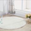 1pc, Non-Slip Silk Fur Plush Indoor Carpet Area Rug for Living Room and Kitchen - Soft and Durable Home Decor and Room Decor